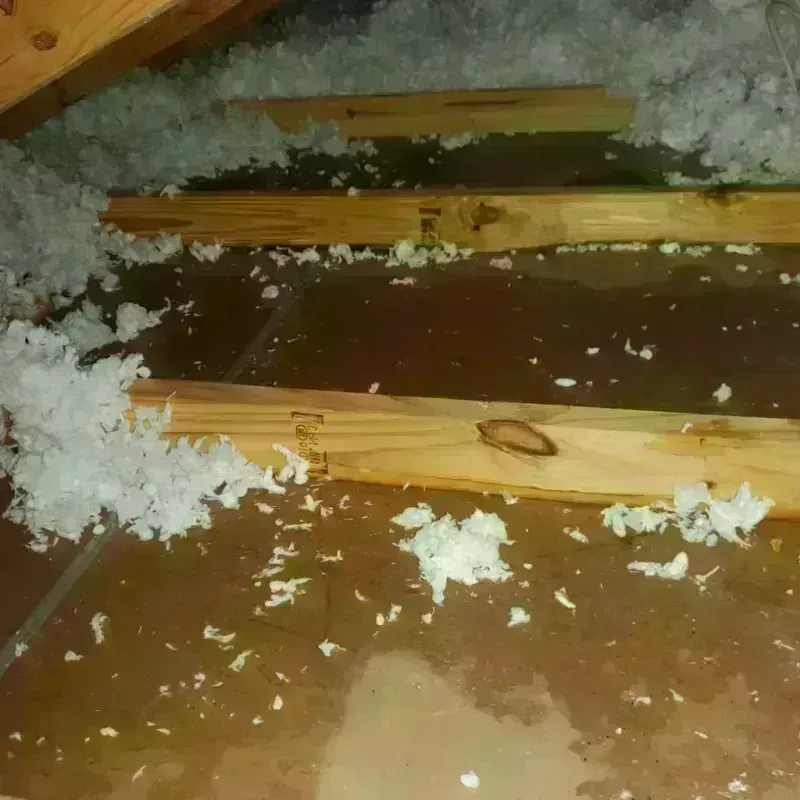 Attic Water Damage in Tillamook, OR