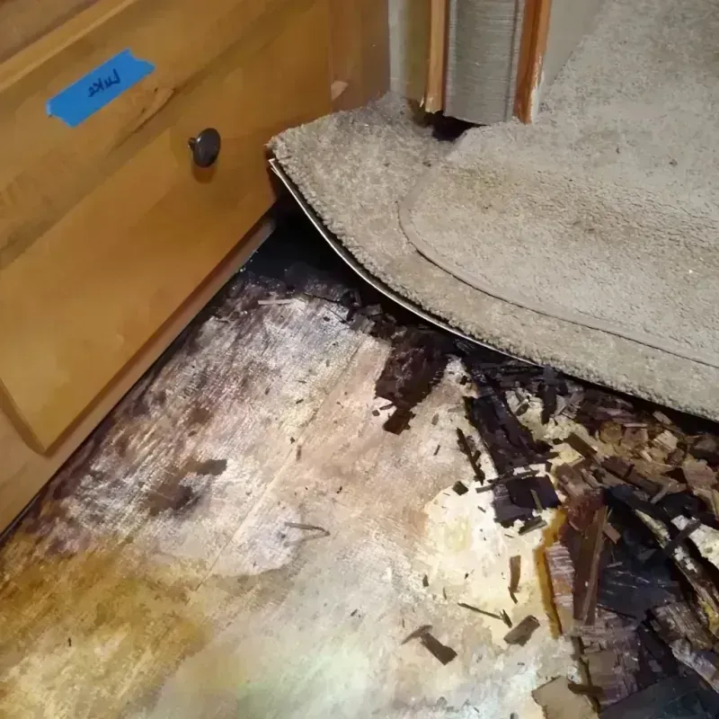 Best Wood Floor Water Damage Service in Tillamook, OR